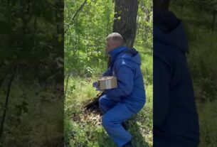 Весняна пероральна кампанія з імунізації диких м'ясоїдних тварин на Полтавщині