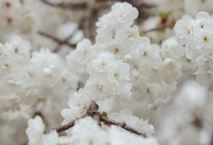 Новини культури - Гороскоп для знаків зодіаку на 25 квітня 2025 року