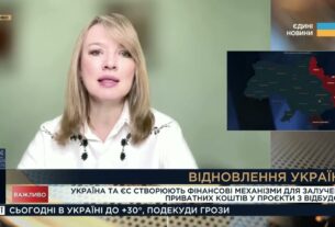 Відбудова України: Як залучатимуть приватні інвестиції з ЄС | Олена Шуляк