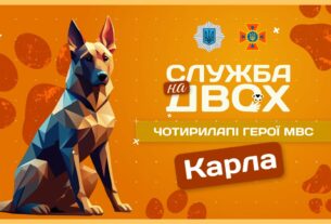🐶 Карла - собака, що має ліричний характер і непросту місію | Служба на двох
