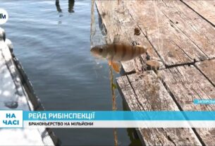 Як запорізьку рибу рятують від браконьєрів