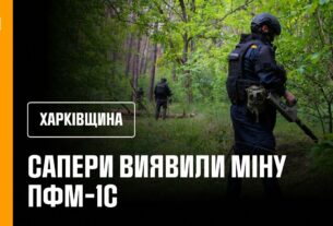 Сапери ДСНС розміновують ліси Ізюмщини: знайдено «пелюстку»