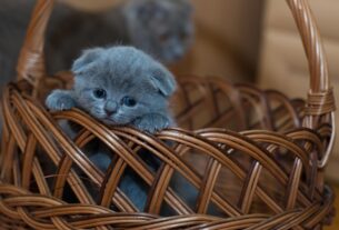 Новини культури - Гороскоп для знаків зодіаку на 13 травня 2025 року