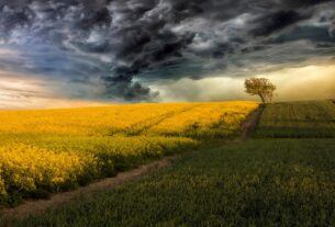 Новини світу - Китай створює "штучні дощі" над посушливими регіонами