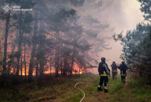 Новини України - На Харківщині локалізували масштабну лісову пожежу