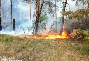 Новини України - На Харківщині триває ліквідація 11 лісових пожеж