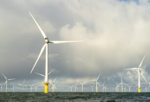 Новини бізнесу - Нідерланди звинуватили Бельгію у "крадіжці вітру"