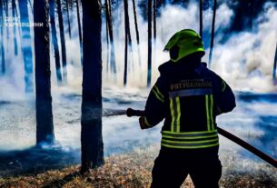 Новини України - Рятувальники ліквідували п’ять лісових пожеж на Харківщині