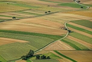 Новини Києва - СБУ викрила 176 росіян, які володіли землею під Києвом