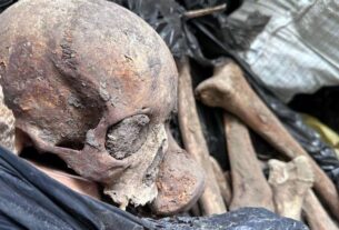 Новини України - Скандал у Києві: знайдено 10 тон людських кісток