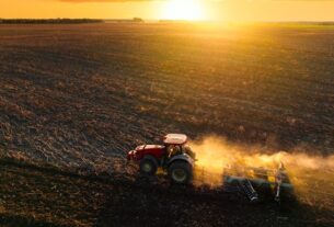 Новини бізнесу - Україна нині засіяла 87% ярих зернових та зернобобових від плану