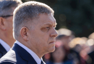 Новини світу - Уряд Фіцо дозволив продавати м’ясо бурого ведмедя