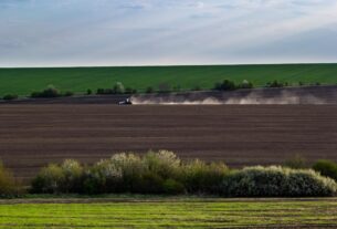 Новини бізнесу - Весняна сівба: аграрії виконали 76% плану