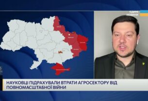 Втрати агросектору: як війна змінила українське сільське господарство | Денис Марчук