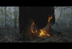 Ексклюзивні кадри: на Харківщині лісівники гасять пожежі у замінованому лісі