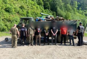 Новини України - Кози, свині й ухилянти - на Закарпатті викрили схему перевізників