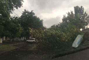 Новини України - На Прикарпатті через негоду впали дерева, без світла низка сіл