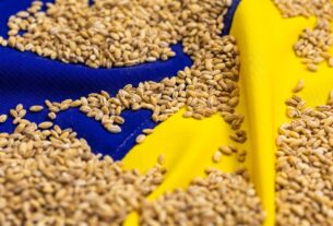 Новини бізнесу - Став відомий найбільший імпортер агропродукції України серед країн ЄС