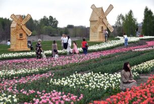 Новини України - Сухо, подекуди грози: в Україні відступає спекотна погода
