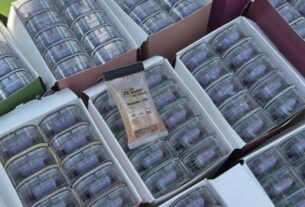 Новини України - У посилках з Німеччини: викрито канал постачання наркотиків в Україну
