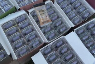 Новини України - В Україні викрили міжнародний канал наркопостачання