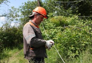 Новини України - В Україні знизилось енергоспоживання наприкінці червня