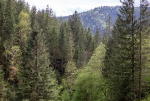 Новини України - Екопрокуратура скасувала незаконну передачу землі у Мигово