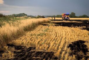 Новини України - На Миколаївщині вигоріло 70 гектарів пшениці