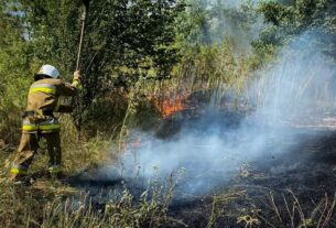 Новини України - На Одещині вирують масштабні пожежі: є жертва