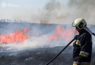 Новини України - На Полтавщині пожежа знищила поле зернових