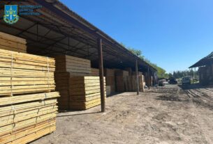 Новини України - На Житомирщині судитимуть посадовців за розкрадання лісу