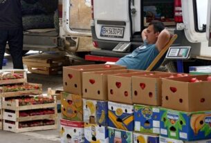 Без категорії - Сезон заготівлі на зиму: чи подешевшають овочі та фрукти