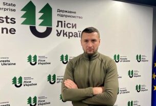 Новини України - Суд відправив під варту керівника ДП Ліси України