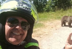 Новини світу - У Карпатах ведмідь загриз туриста-мотоцикліста