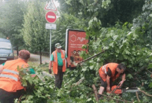 Новини Києва - У Києві через негоду постраждали п'ятеро людей