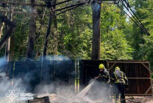 Новини Києва - У Києві сталася пожежа у парку динозаврів
