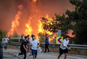 Новини світу - У Туреччині вирують масштабні лісові пожежі: загинули 17 людей