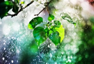 Новини України - В Україні чергуватимуться грози зі спекою до +37°