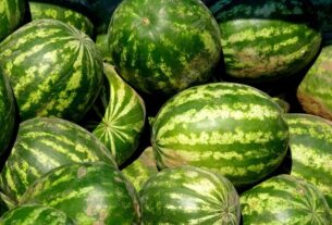 Новини бізнесу - В Україні стрімко знижуються ціни на кавуни