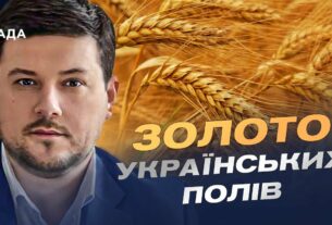 Український хліб 2025: як ідуть жнива та які прогнози | Денис Марчук