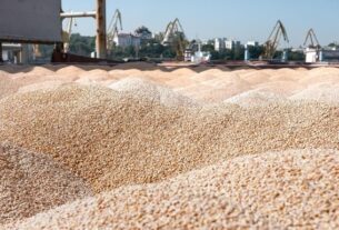 Новини України - Викрито депутата-колаборанта, що передав Росії 24 тис. тонн урожаю