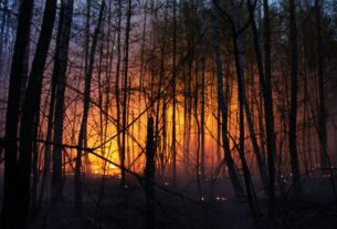 Новини світу - Іспанія у вогні: вирують масштабні лісові пожежі