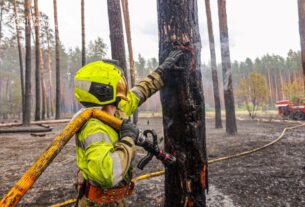 Новини України - На Харківщині ліквідували масштабну лісову пожежі