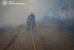 Новини України - На Миколаївщині вигоріло 93 гектари території