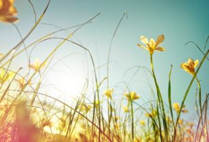 Новини України - Погода в Україні: місцями дощі, температура до 29°
