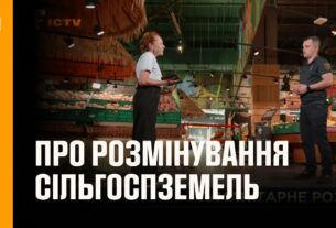 У ДСНС України розказали про розмінування сільгоспземель