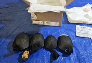 Новини світу - У США затримали чоловіка, який хотів вивезти понад 850 рідкісних черепах