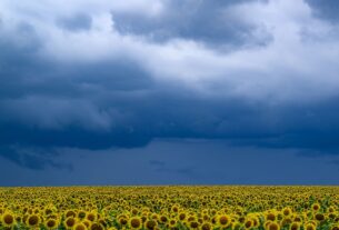 Новини України - В Україні прогнозують до +33°, подекуди грози та град