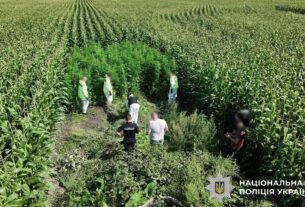 Новини України - В Україні провели масштабну операцію Джентельмени