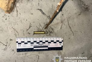 Новини України - Жителю Київщини загрожує до трьох років за вбивство алабая